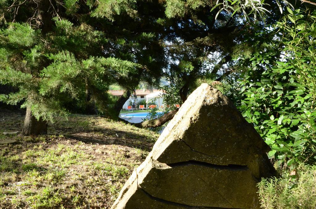 Albergo Pian Del Bosco Novafeltria Kültér fotó