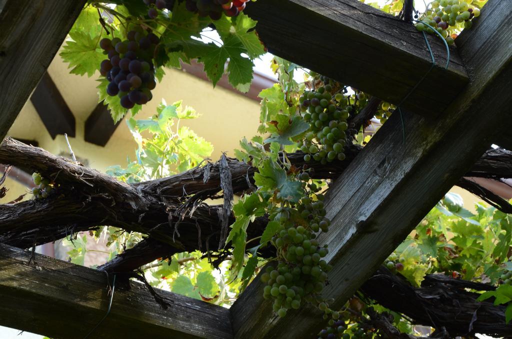 Albergo Pian Del Bosco Novafeltria Kültér fotó